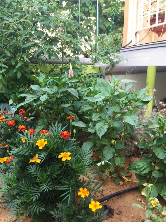 Friendly People'S Guest House Задар Екстериор снимка